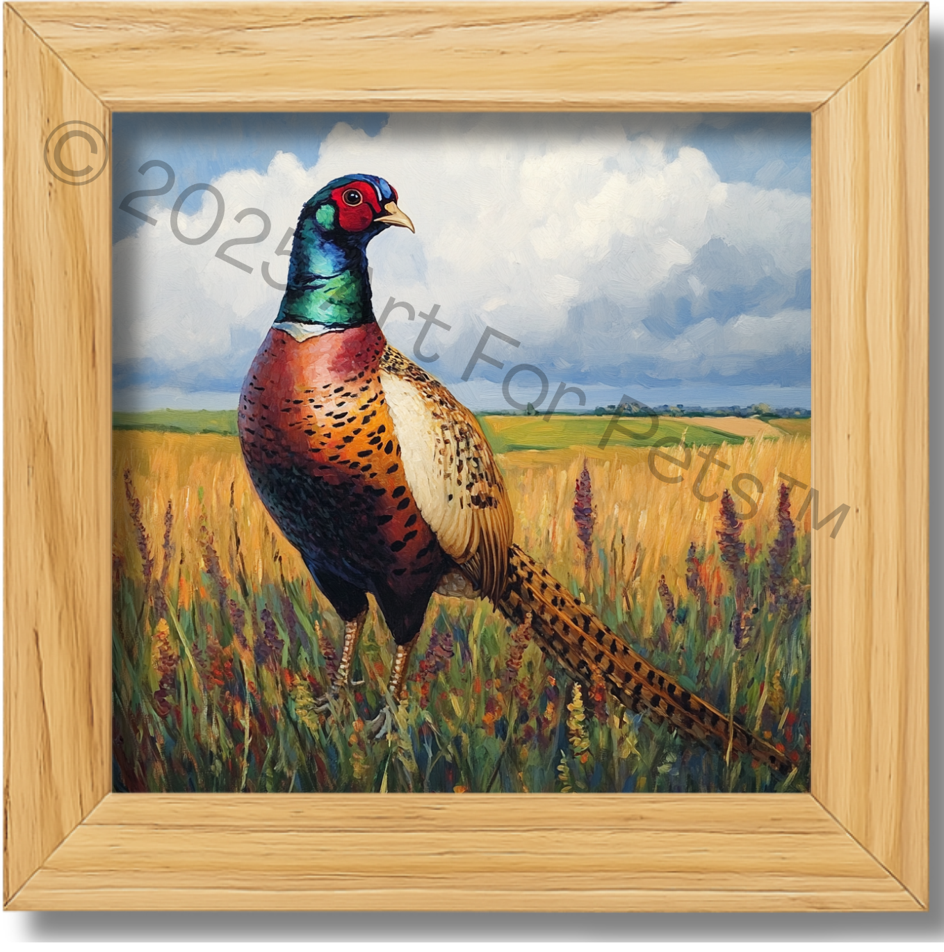 Run Pheasant, Run!